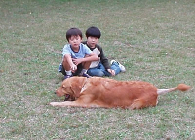 第7回 デジタル部門 銅賞 少年と犬