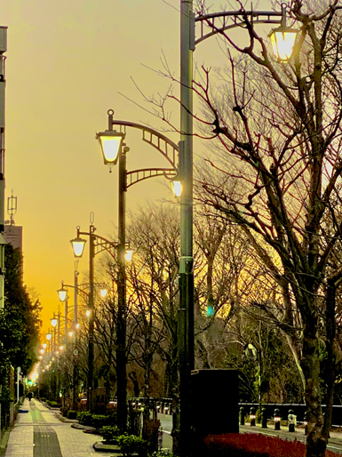 風の散歩道の夕暮れ
