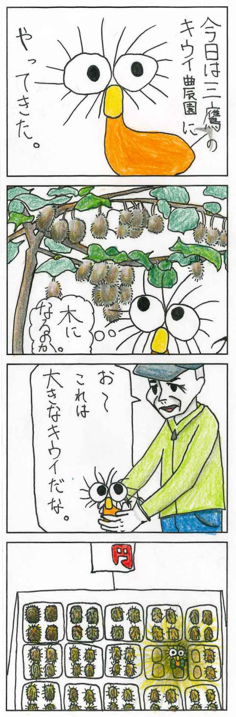 大きなキウイ