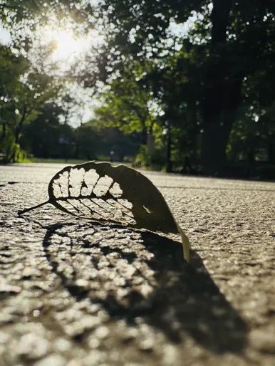 ジブリ美術館のはらぺこあおむし