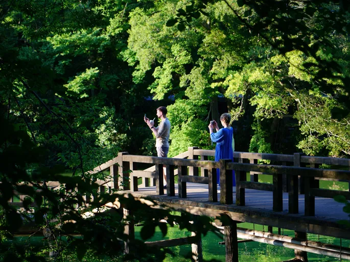 国際的名所になるかも