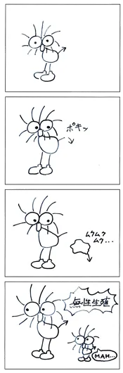 三鷹の母『Poki 繁殖の季節』