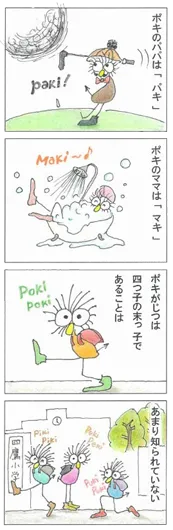 船木 光貴『パピプペポキ』