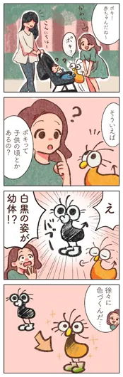 高橋美梅『ポキの成長』