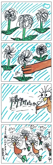 カトゥース（10歳）『Pokiのつくりかた』