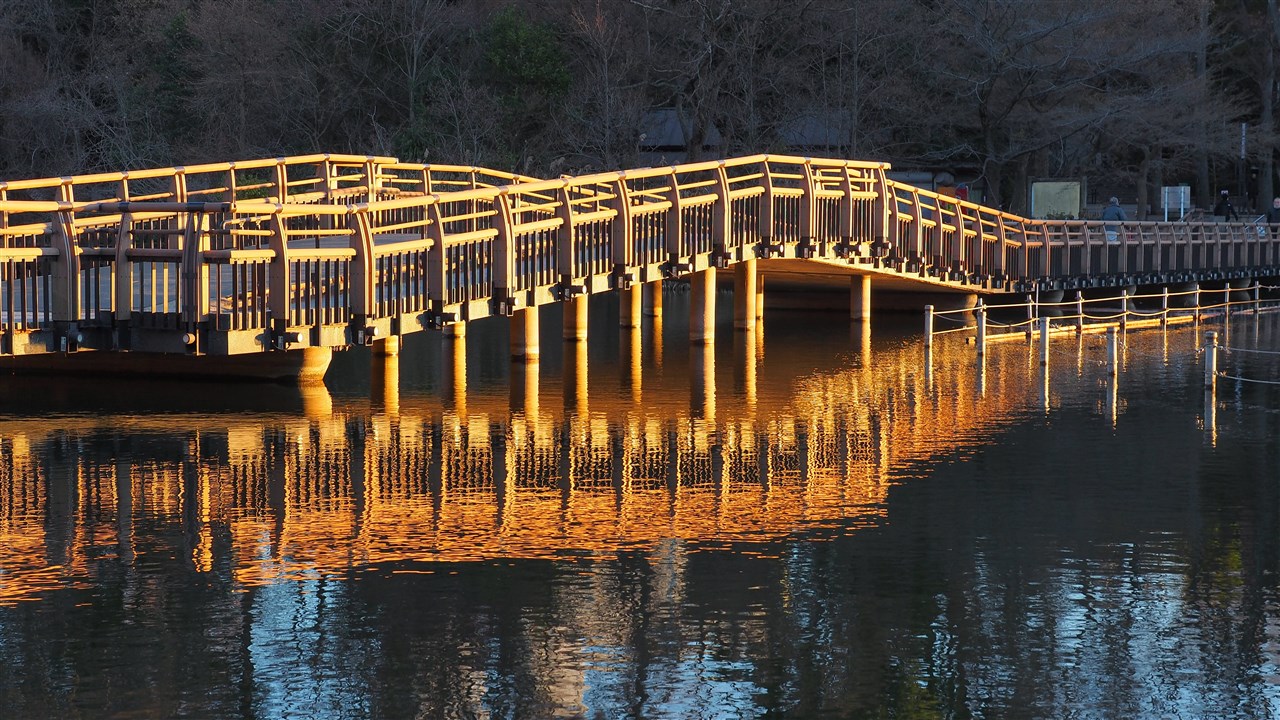 黄金橋