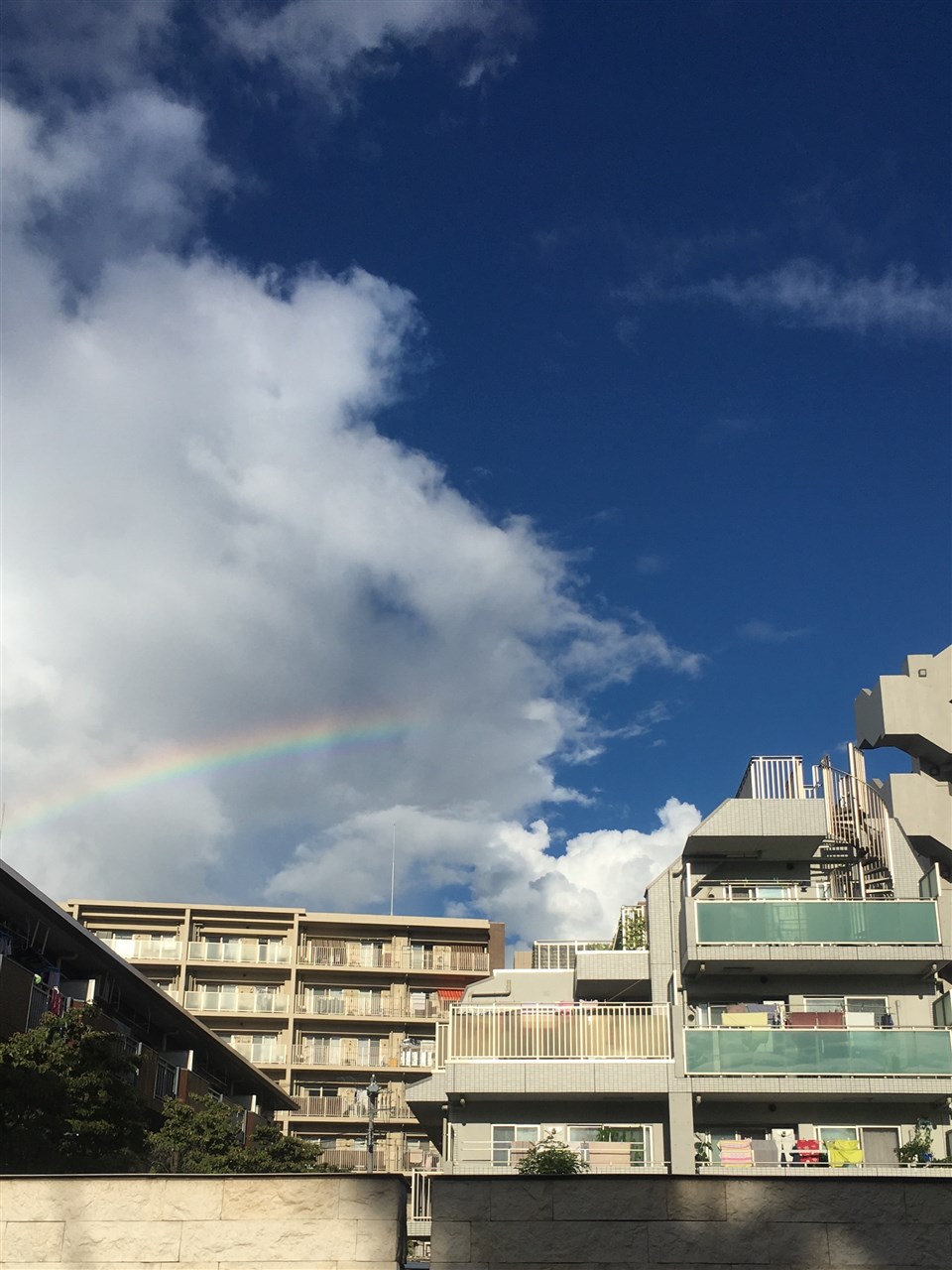 それ、虹だよ