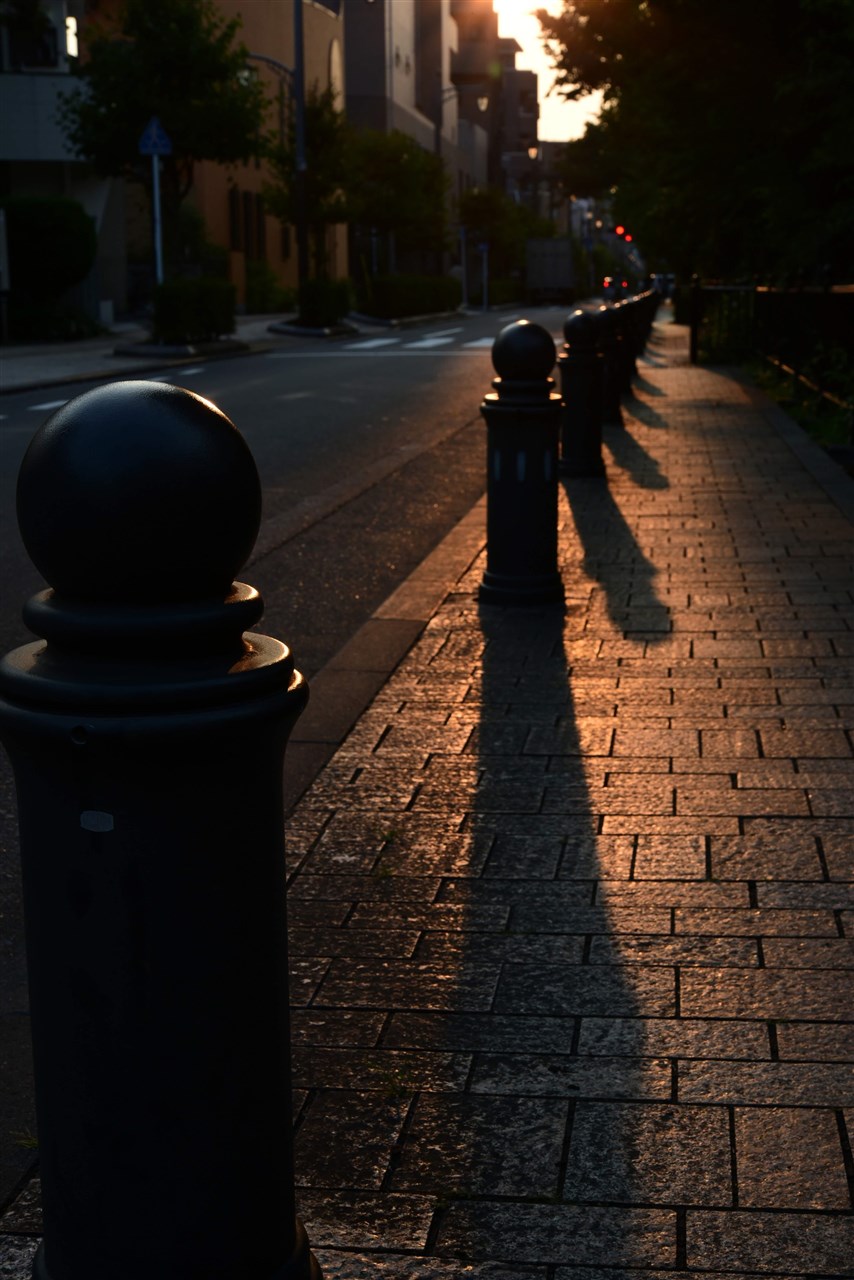 散歩道夕景