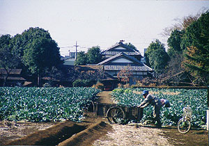 第1回  大判部門 銅賞 三鷹市深大寺居村の秋