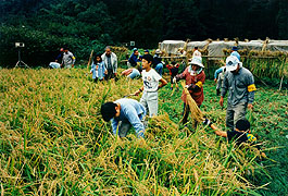 第2回 大判部門 佳作 楽しい体験