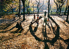 第2回 まちかど発見賞 秋の公園で