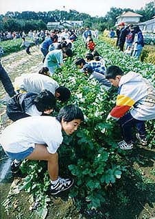 第3回 大判部門 佳作 農作業体験