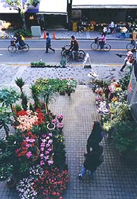 第3回 まちかど発見賞 花のある風景