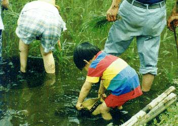 第4回 大判部門 佳作 わたしは、私