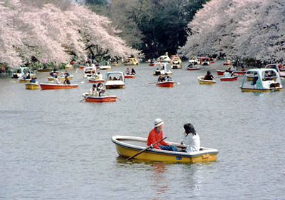 第5回 サービス判部門 佳作 桜咲く頃