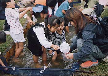 第6回 大判部門 佳作 取れたね