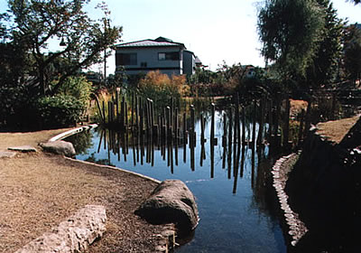 第8回 大判部門 銅賞 丸池公園の静寂