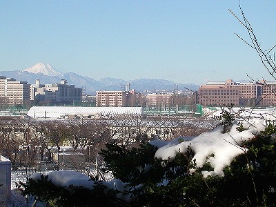 第11回 - まちかど発見賞 富士と初雪