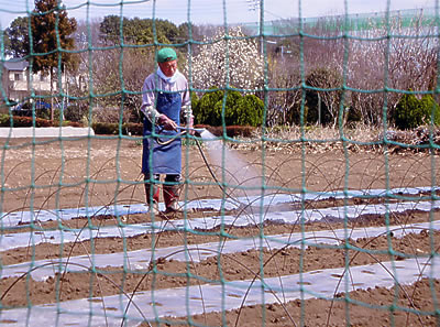 第13回 中学生以下部門 銅賞 岡田さんが畑に水をまいている