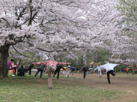 第17回 - 奨励賞 桜の下でみな元気