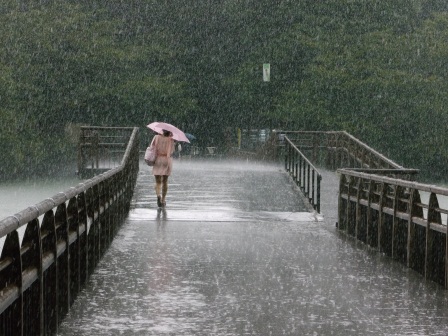 第18回 一般Ａ4サイズ以上部門 銅賞 雨の日