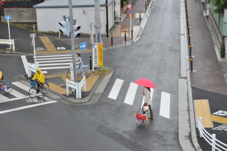 第18回 一般Ａ4サイズ未満部門 銅賞 赤い傘と赤い犬