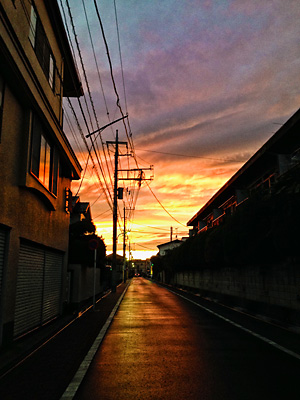 第19回 高校生以下部門 金賞 夕日の道