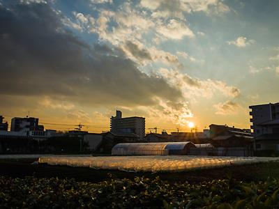 第20回 - 奨励賞 新川五丁目の夕日