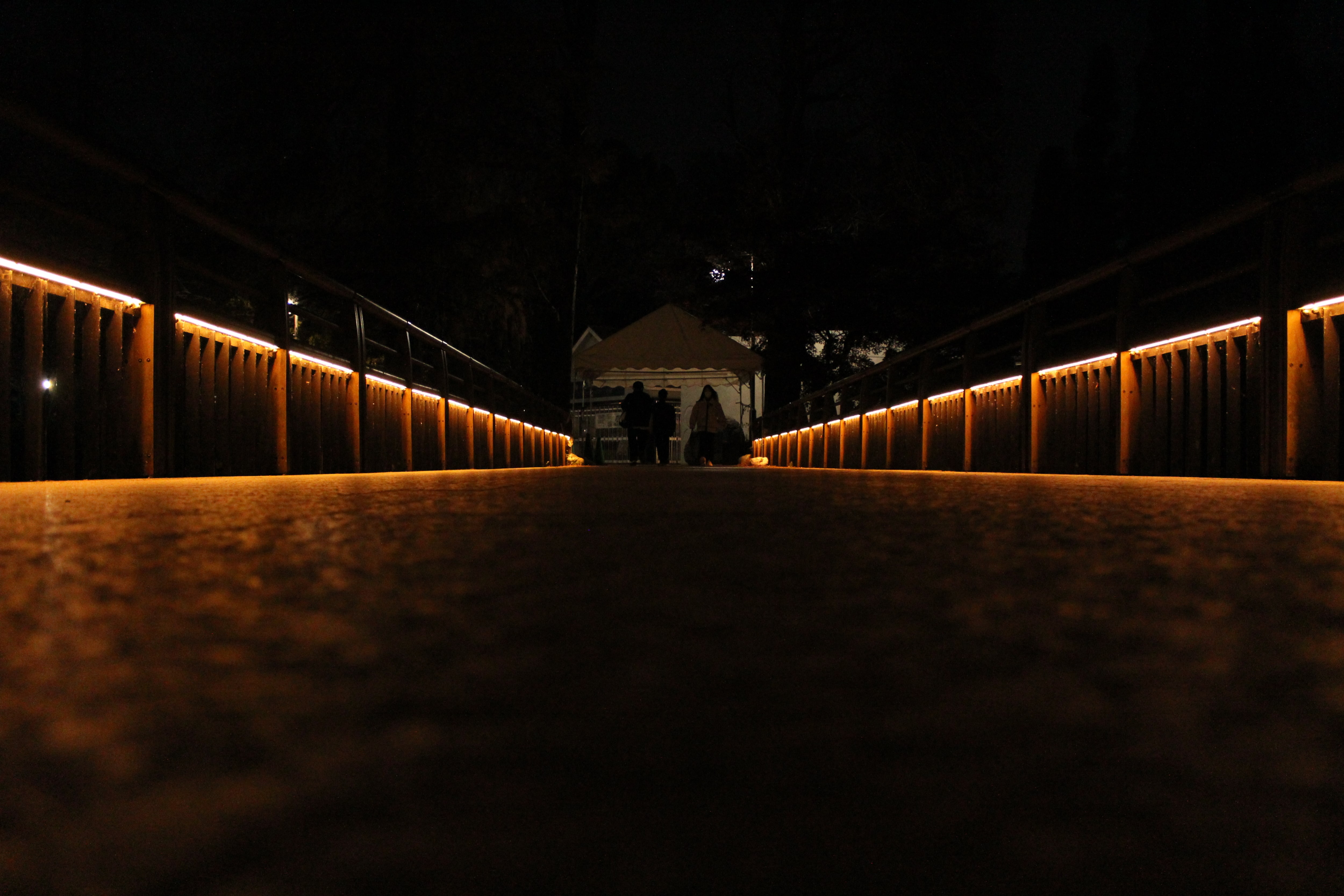 未来の写真家賞夜の橋