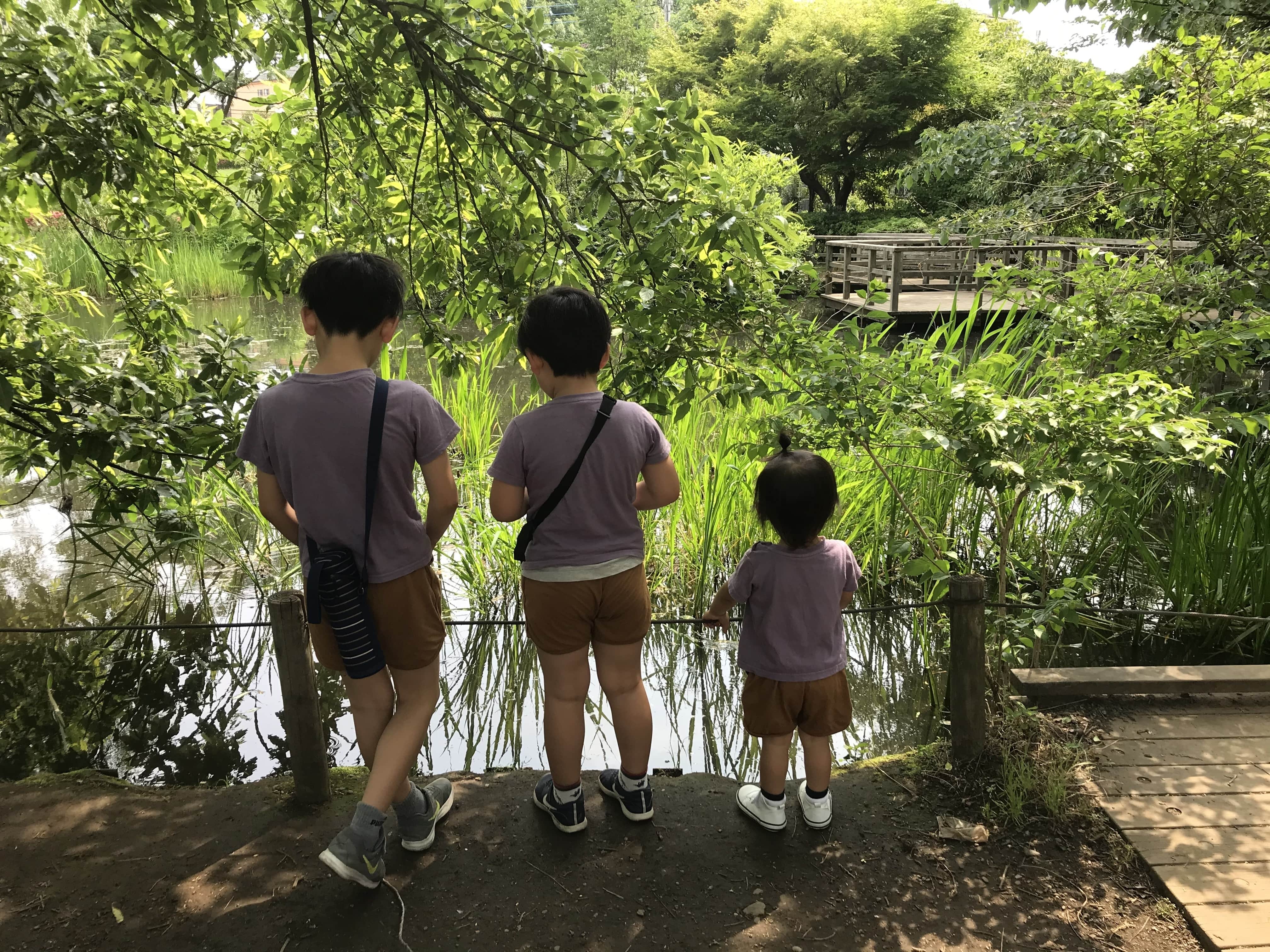 三鷹の魅力賞丸池の里