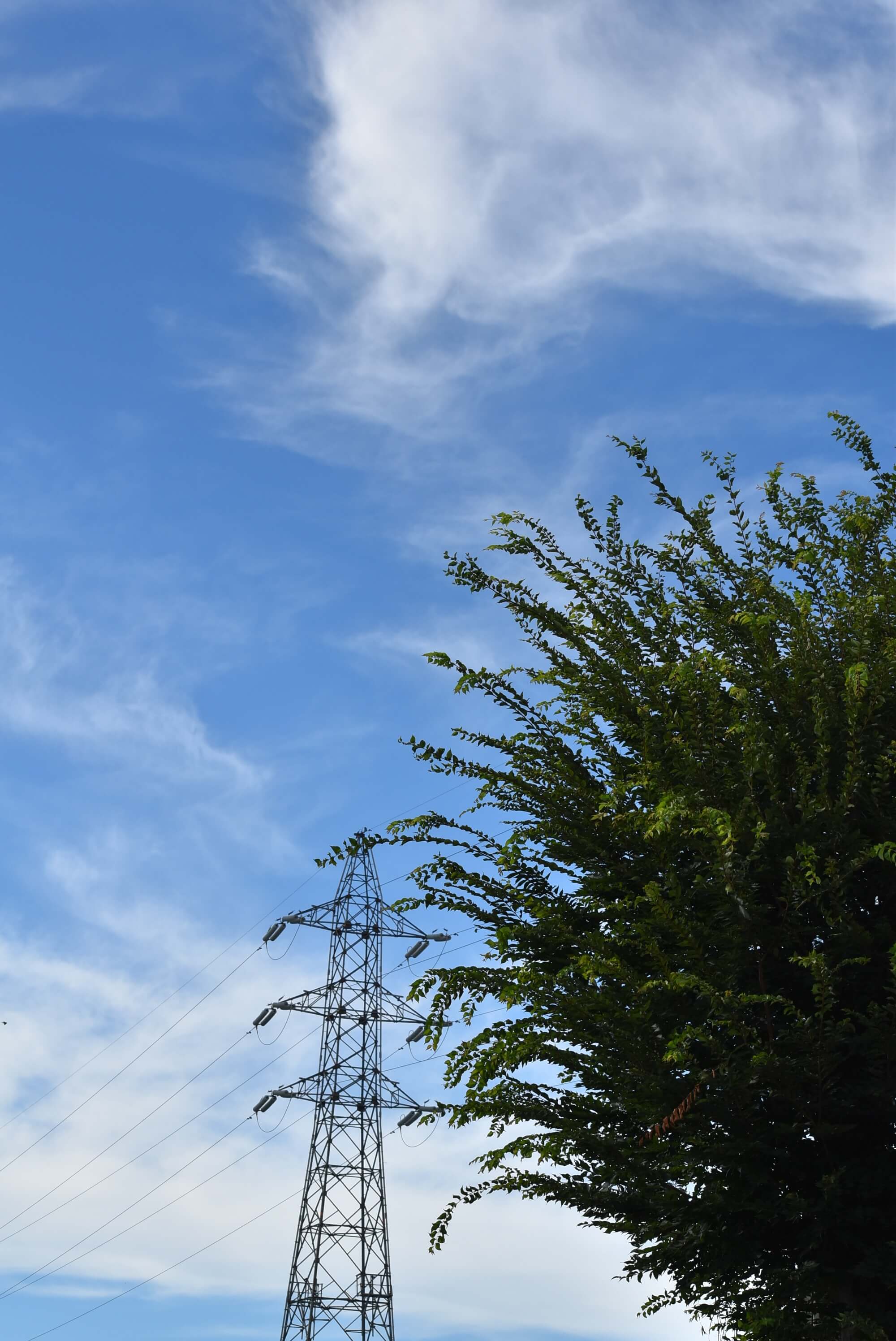 未来の写真家賞 真夏の空