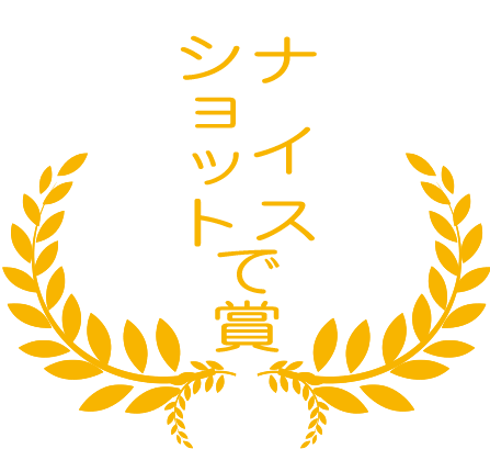 ナイスショットで賞 ナイスショットで賞の画像