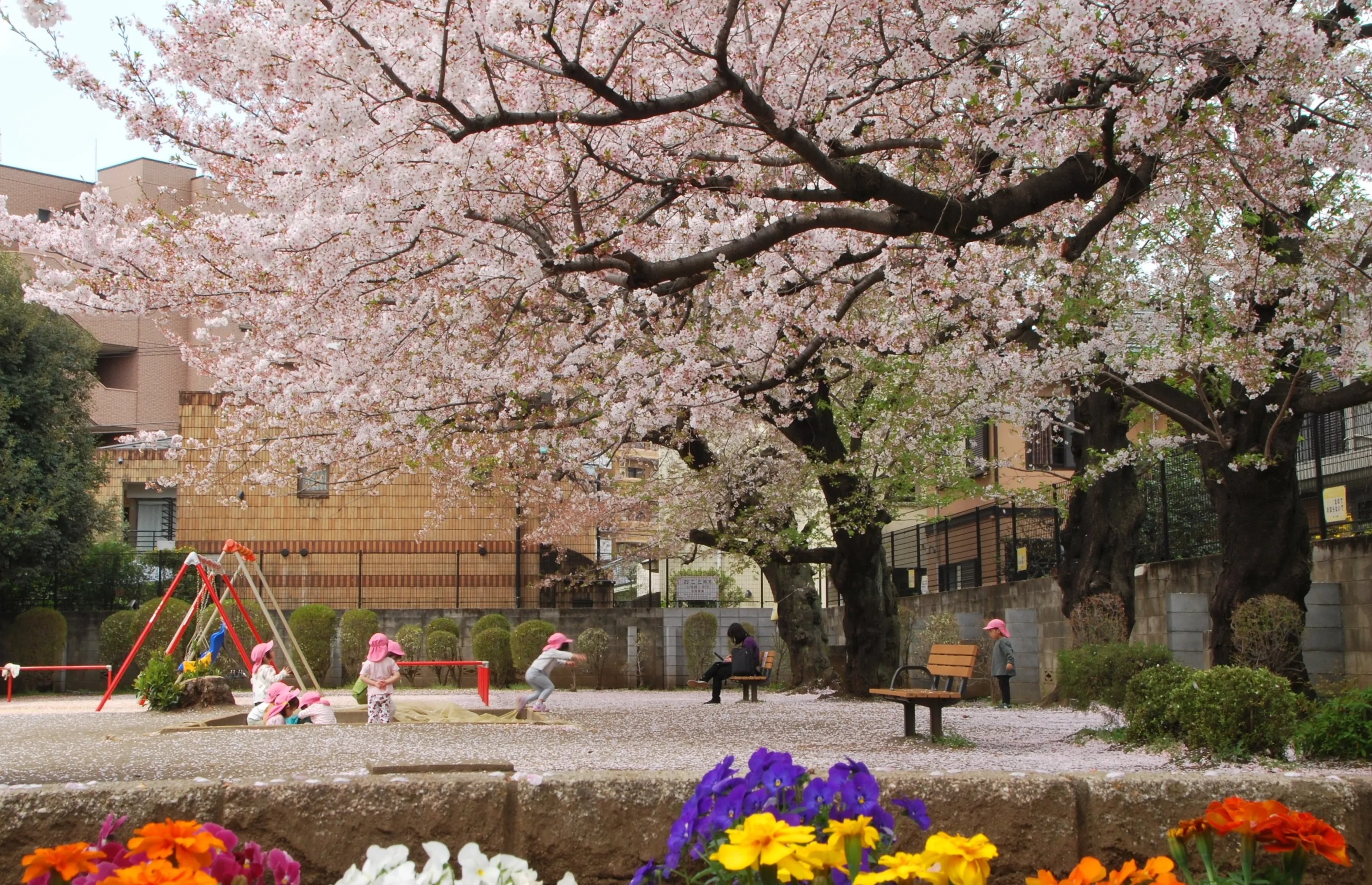 銅賞 花がいっぱいの連雀児童公園