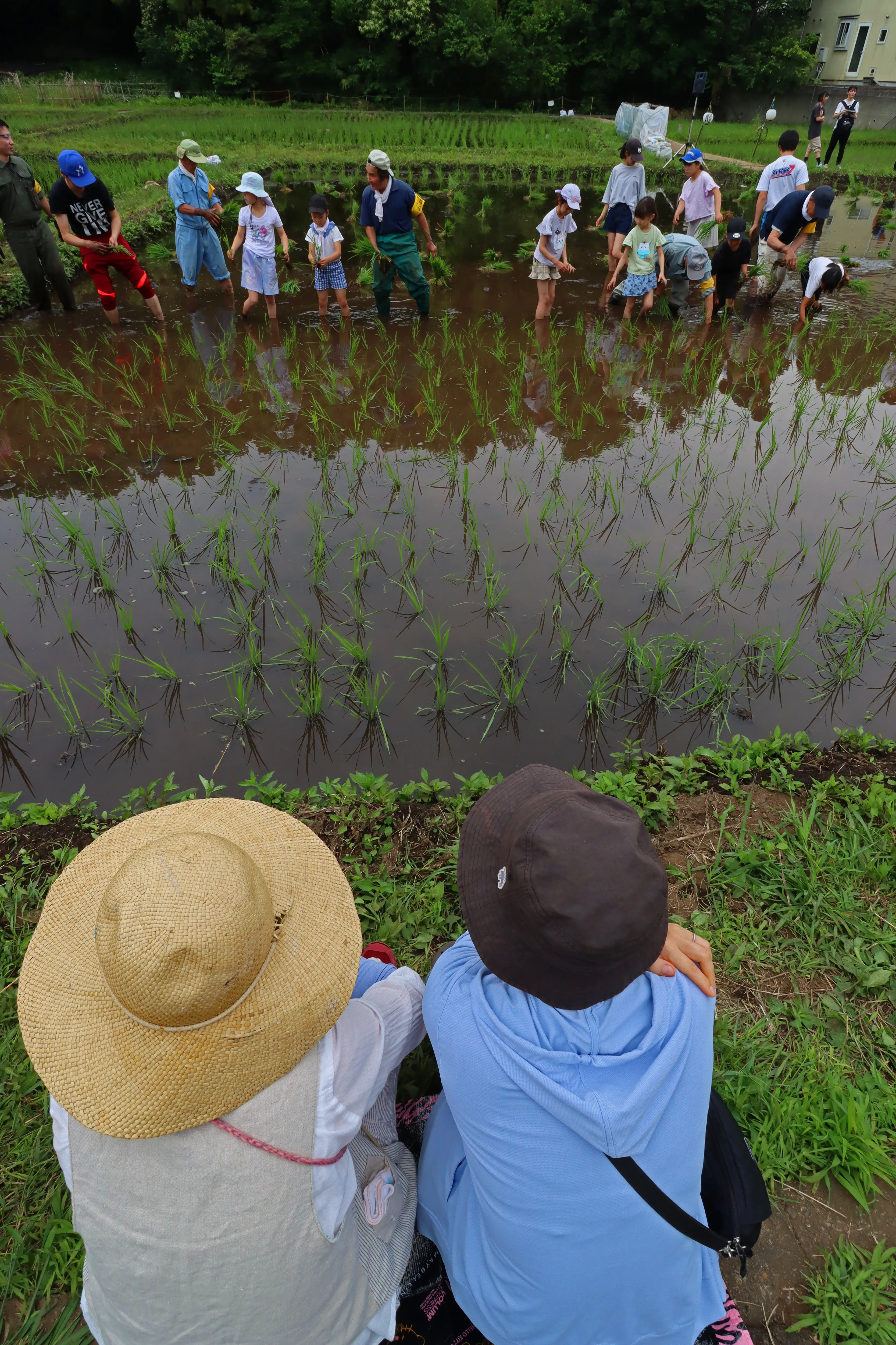 住んでよし訪れてよしのまち三鷹賞 田植応援隊