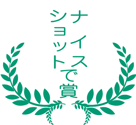 ナイスショットで賞画像