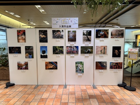 アトレヴィ三鷹での展示 アトレヴィ三鷹での展示