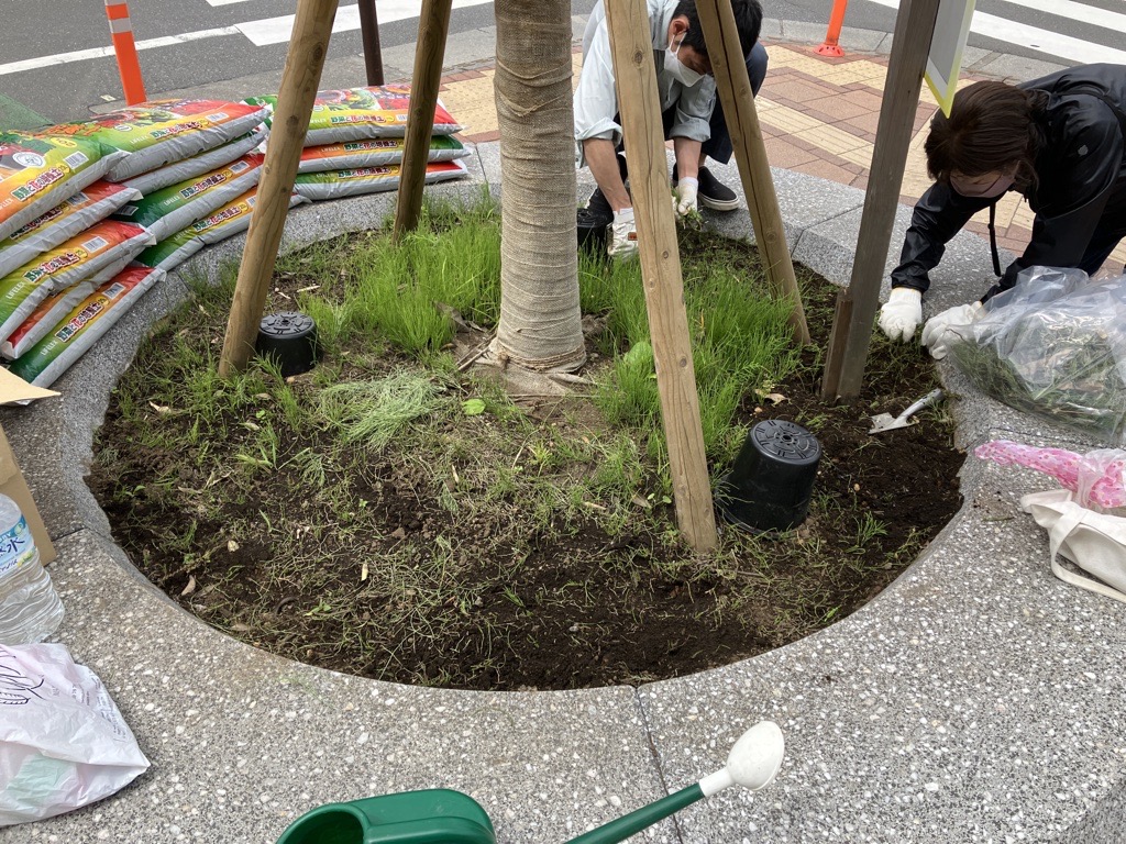 ツリーサークルお手入れの様子
