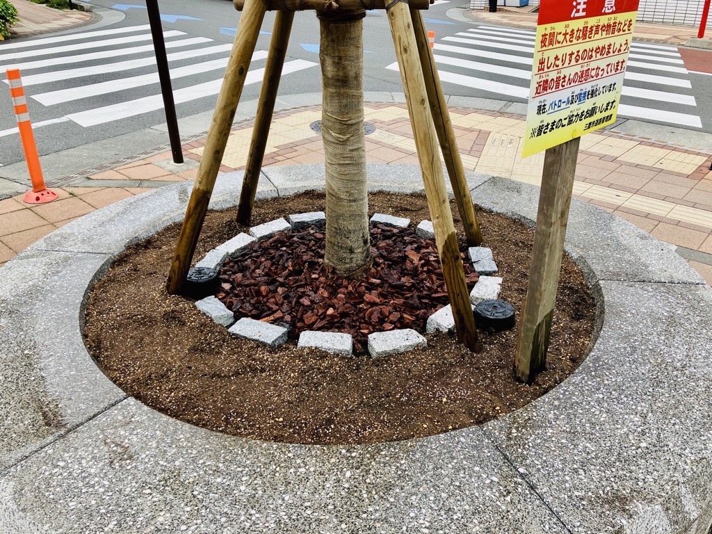 ツリーサークルお手入れの様子