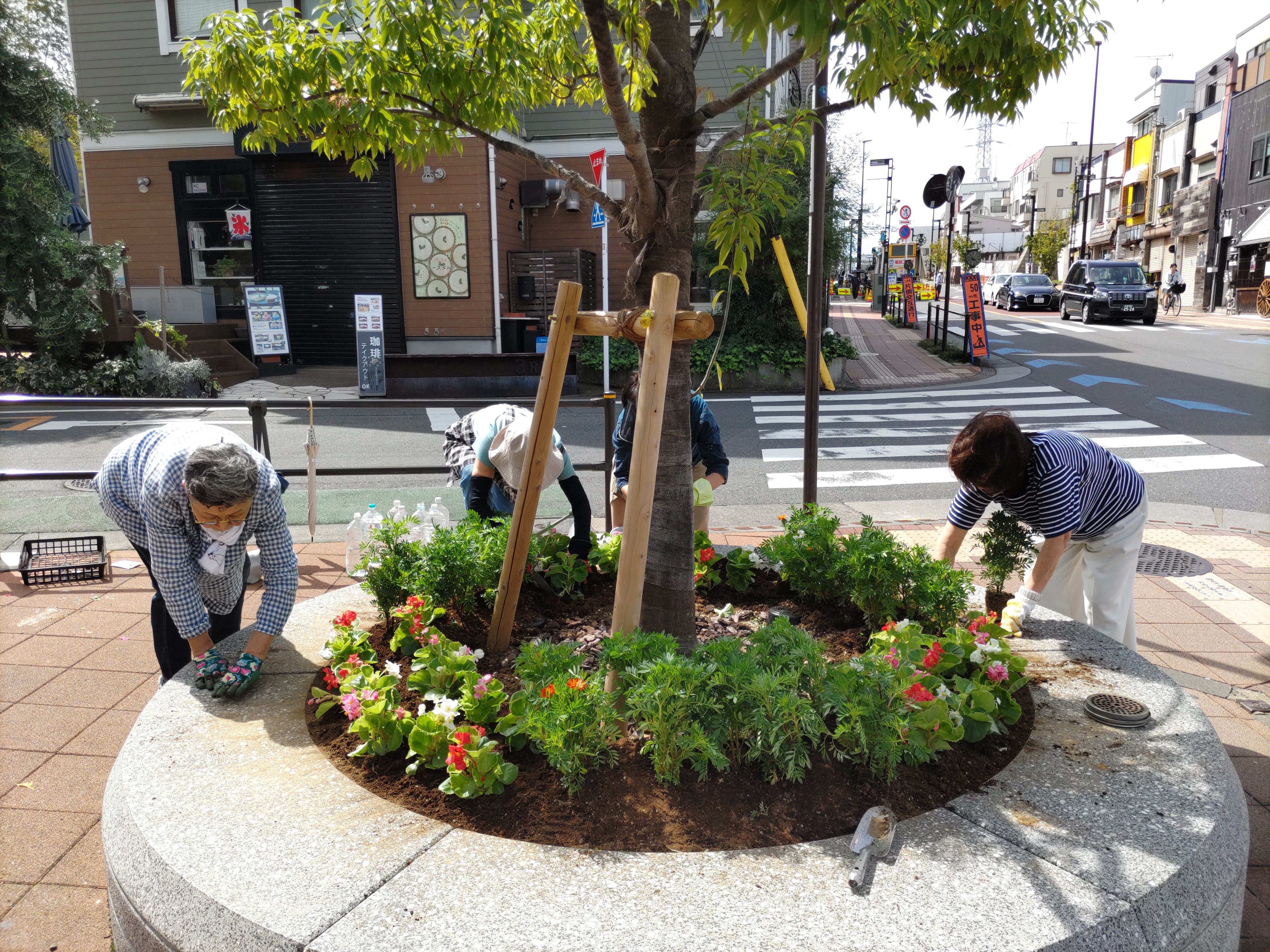 ツリーサークル1