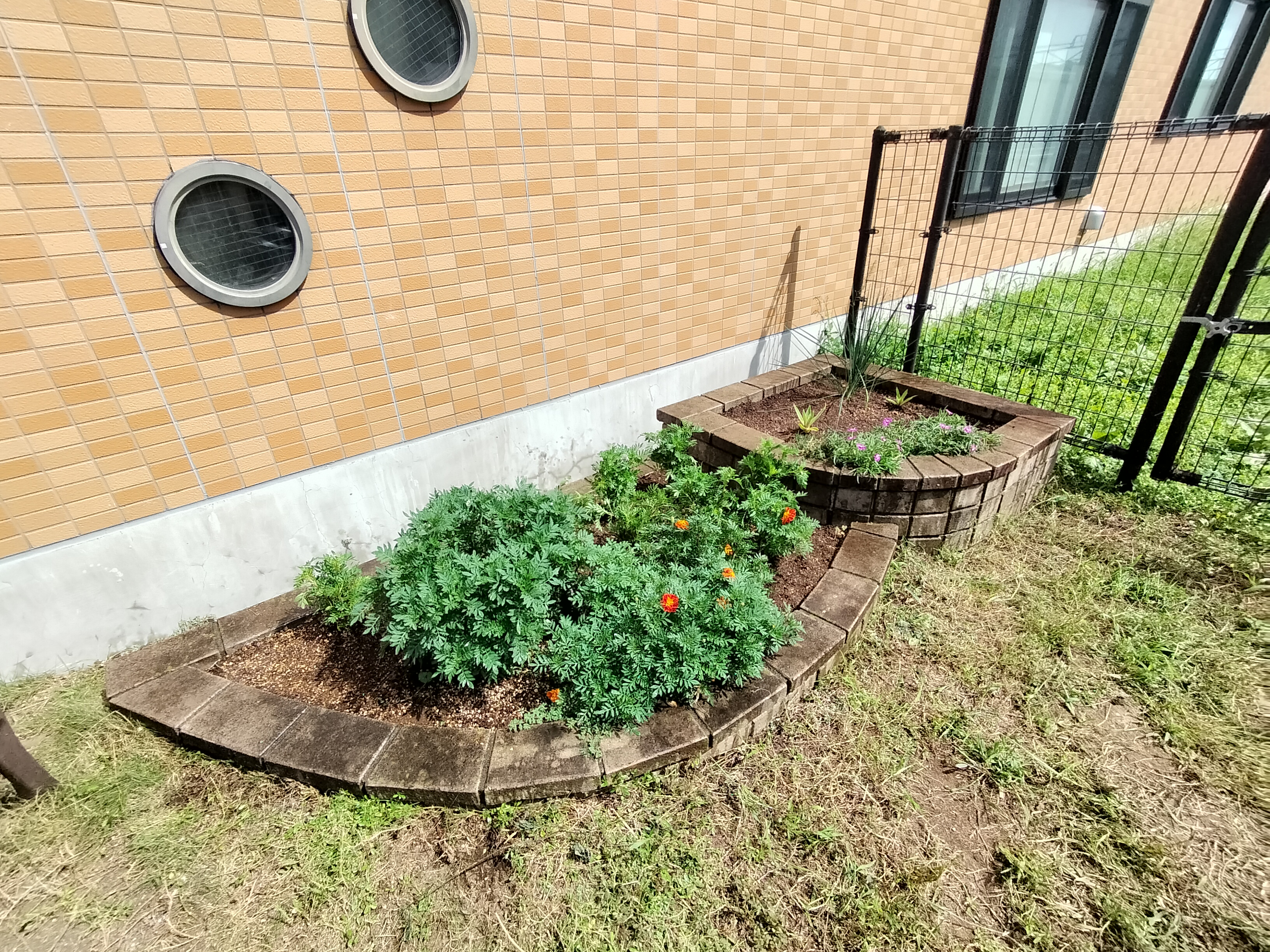 ポケットパーク