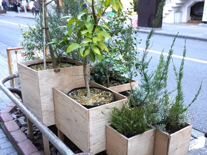三鷹中央通りの植栽に設置されている「グリーンインフラ100プロジェクト」のプランター 三鷹中央通りの植栽に設置されている「グリーンインフラ100プロジェクト」のプランター