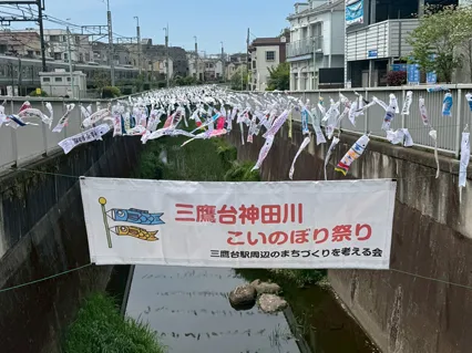 鯉のぼり 鯉のぼり